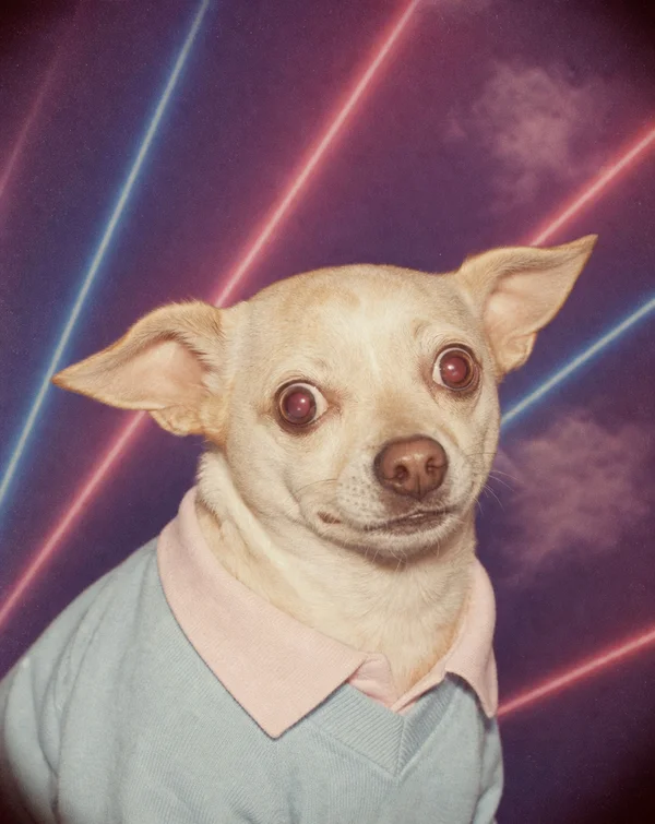 Yearbook AI pet portrait style sample