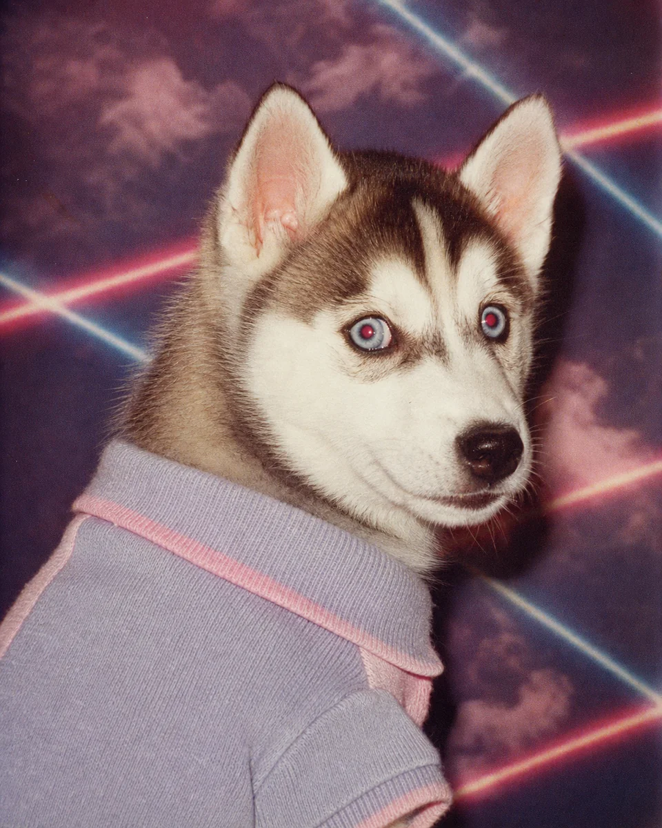 Yearbook pet portrait of Luna